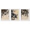 Gold Sands by Pamela Munger - 3 Piece Gallery Framed Print Art Set
